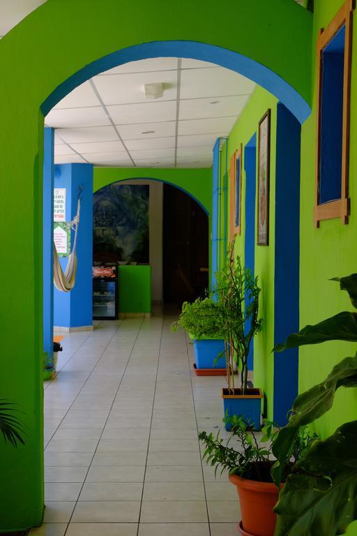 Hostal Casa Verde Santa Ana Exteriér fotografie